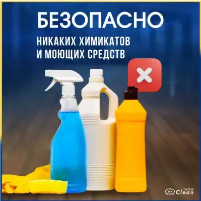 Пароочиститель X-100