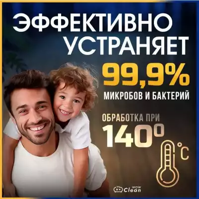 Пароочиститель X-100