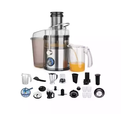 Соковыжималка DSP KJ-3080 Professional
