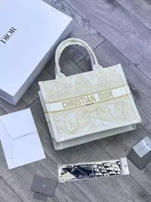 Сумка модная Christian Dior Book Tote Paris