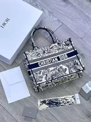 Сумка модная Christian Dior Paris