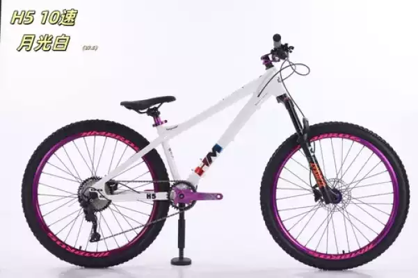 Спортивный велосипед HMBROS белый H5 -10S