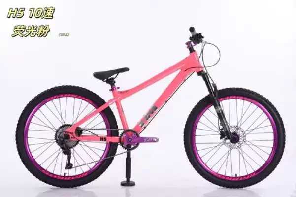 Спортивный велосипед HMBROS розовый H5 -10S