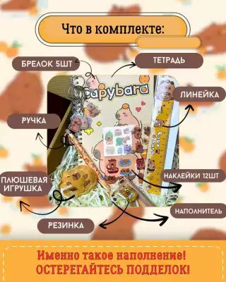 Школьный набор Капибара 10предметов детский набор #2