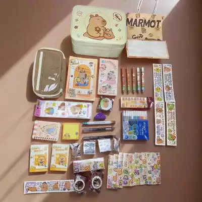 «Mega Box Капибара — 50+ предметов детский набор, канцелярский